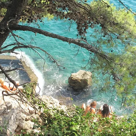Vesna Doc Dubrovnik